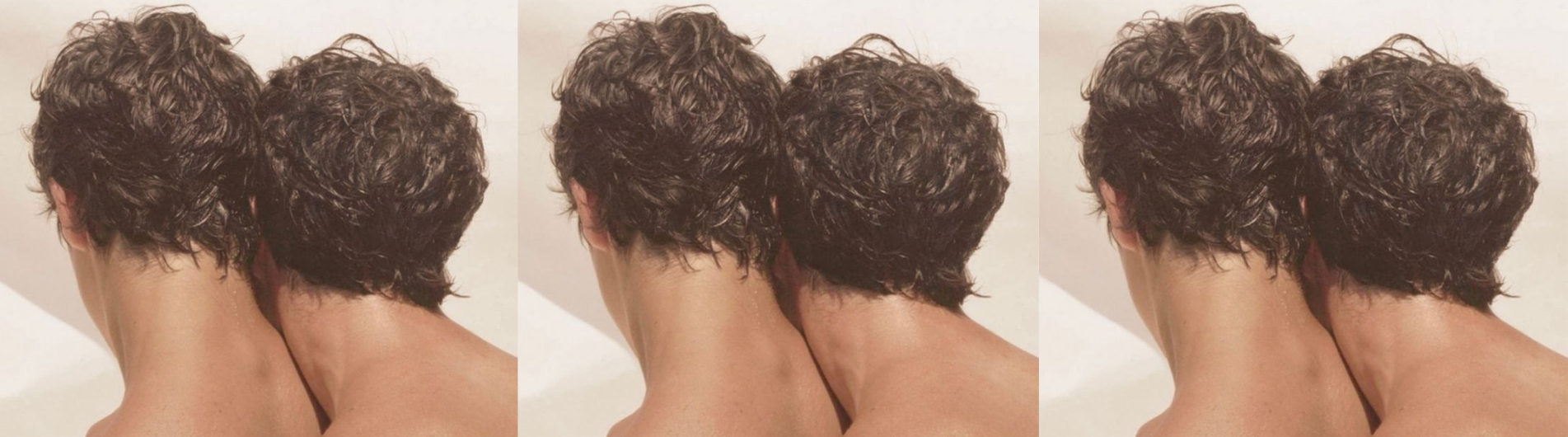 Manual da primeira vez: pênis com pênis