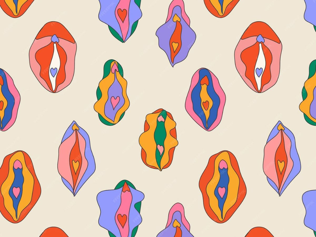 Tipos de vulva: formas, tamanhos e cores